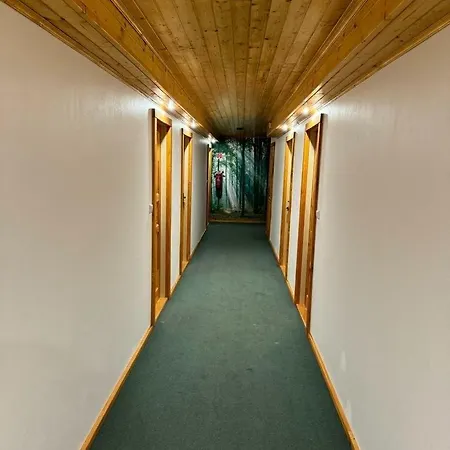 Alojamento de Turismo Selvagem Dolinka Gápel *